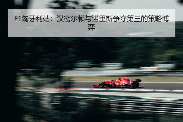 xiong-ya-li-zhan-han-mi-er-dun-yu-nuo-li-si-zheng-duo-di-san-de-ce-lve-bo-yi-2-294.jpg