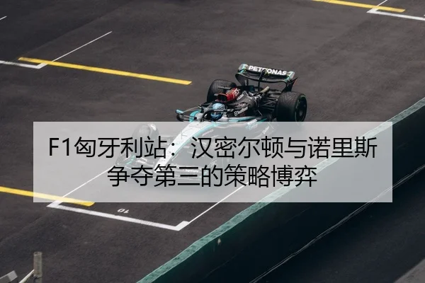 xiong-ya-li-zhan-han-mi-er-dun-yu-nuo-li-si-zheng-duo-di-san-de-ce-lve-bo-yi-3-173.jpg