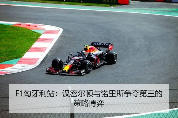 F1匈牙利站：汉密尔顿与诺里斯争夺第三的策略博弈
