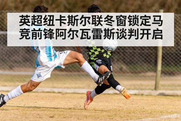 英超纽卡斯尔联冬窗锁定马竞前锋阿尔瓦雷斯谈判开启